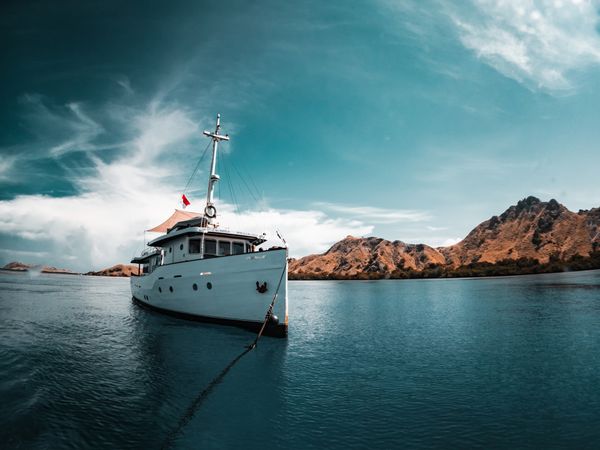 Custom Built 65 | Splendour