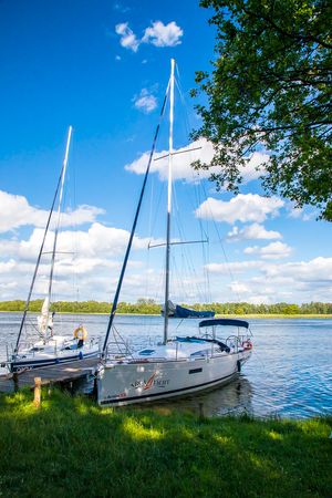 Antila 33 | Maxymilian