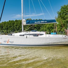 Antila 26cc | Bravo 3