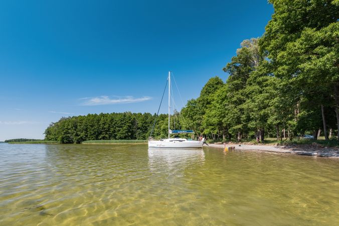 Antila 26cc | Bravo 3