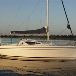 Antila 24 | Dragon Fly