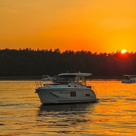 Stillo 30 Prestige | Prohibicja VIP Individual