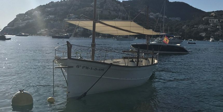 Ferrer Roselló 32 | Ariel