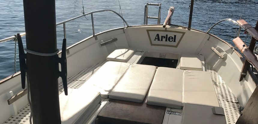 Ferrer Roselló 32 | Ariel