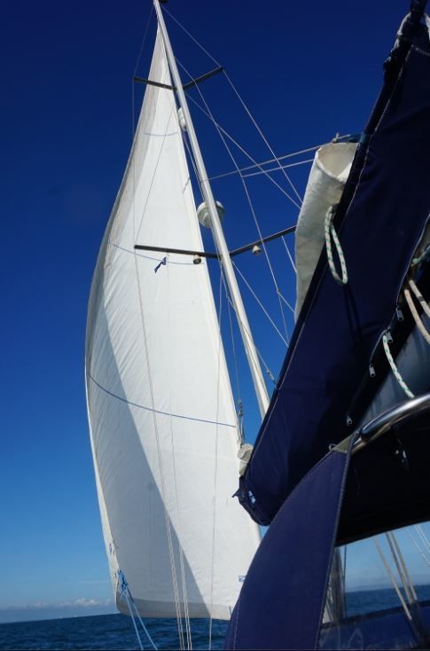 Jeanneau Sun Odyssey 37 | Blue Otter