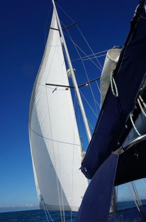 Jeanneau Sun Odyssey 37 | Blue Otter