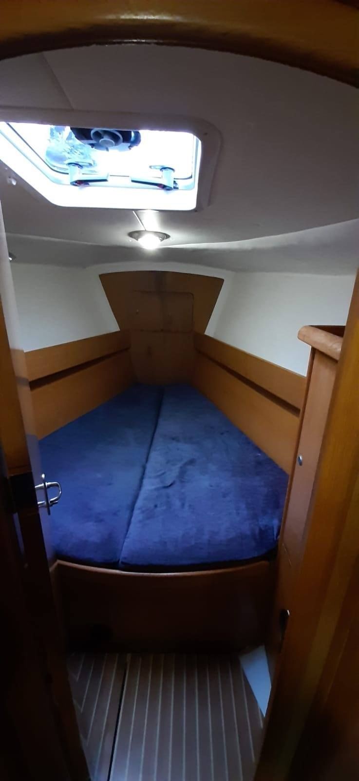 Delphia 40.3 | Madera