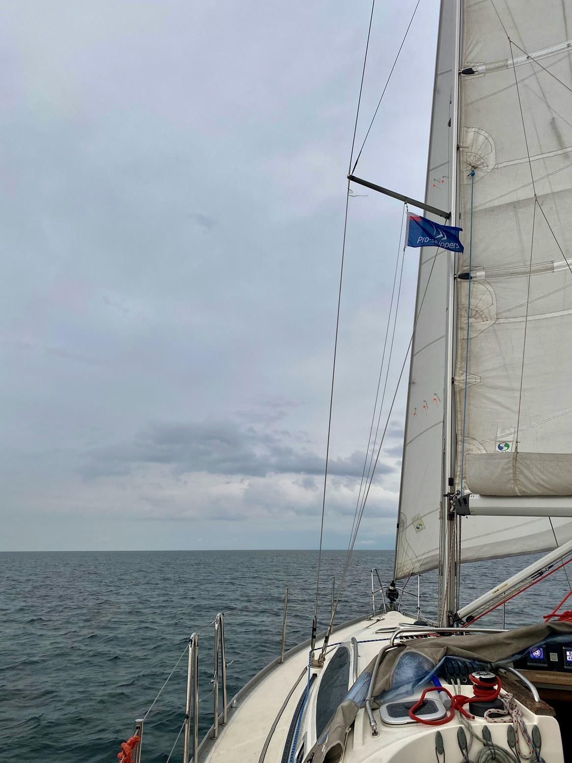 Delphia 40.3 | Madera