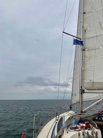 Delphia 40.3 | Madera