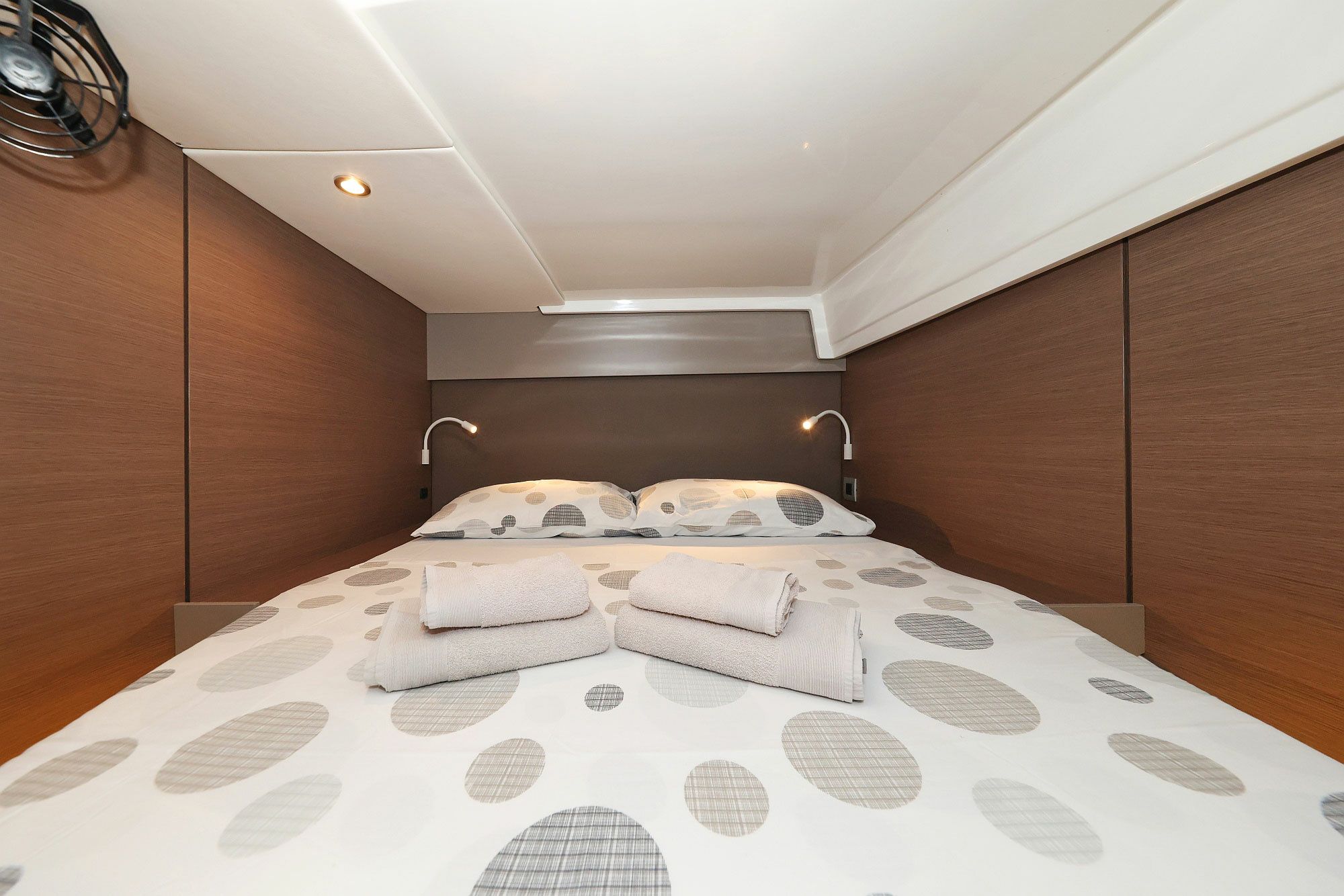 Bali Catspace | Dragonfly