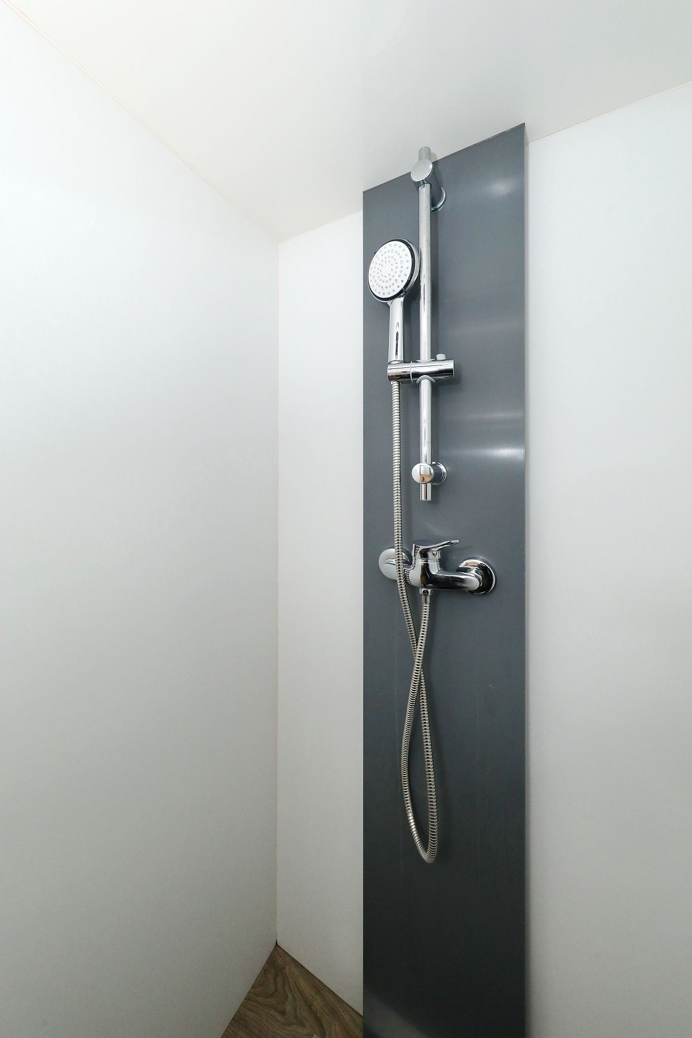 Seamaster 45 | Fortuna