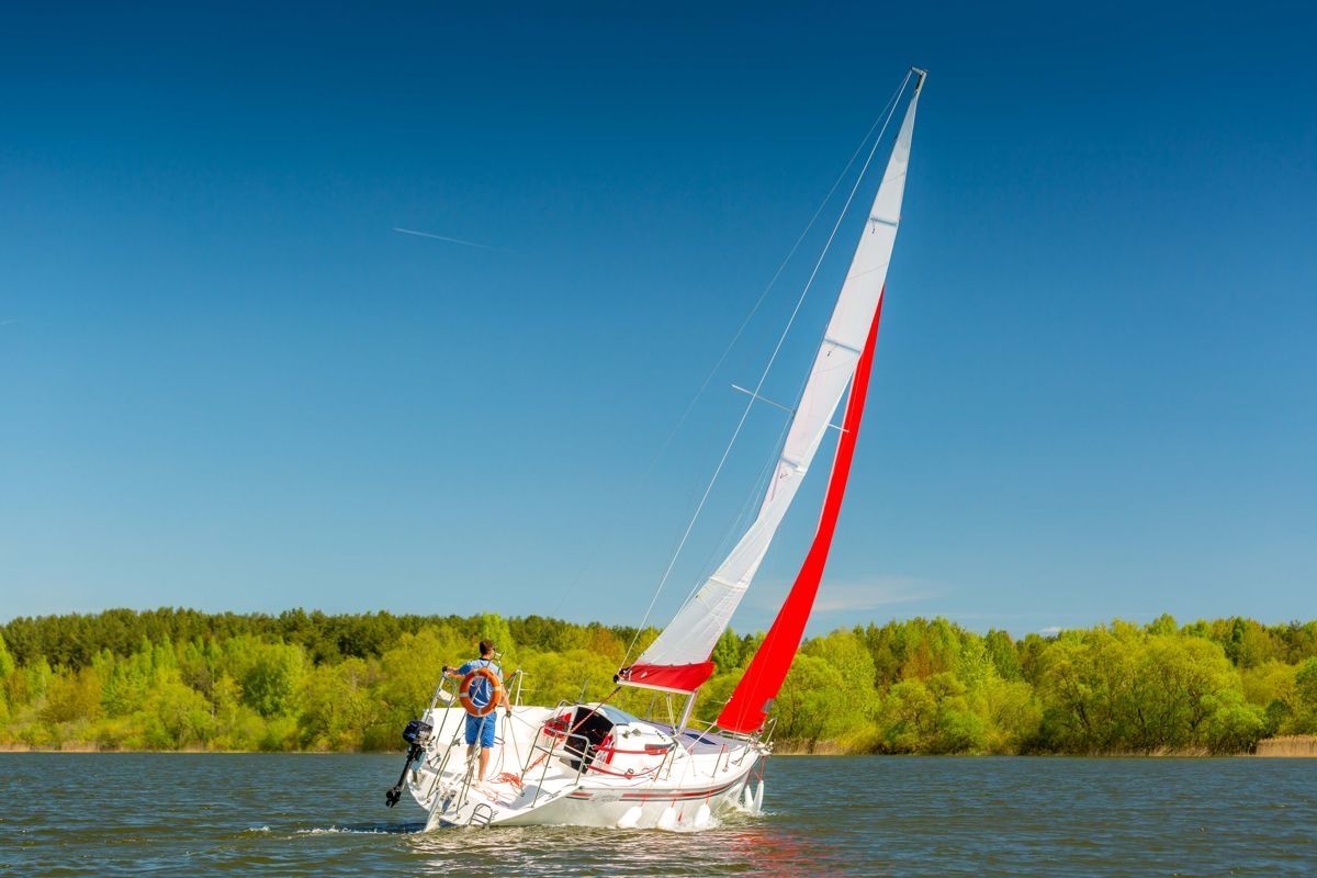 Raptor 26 | Frank Zappa