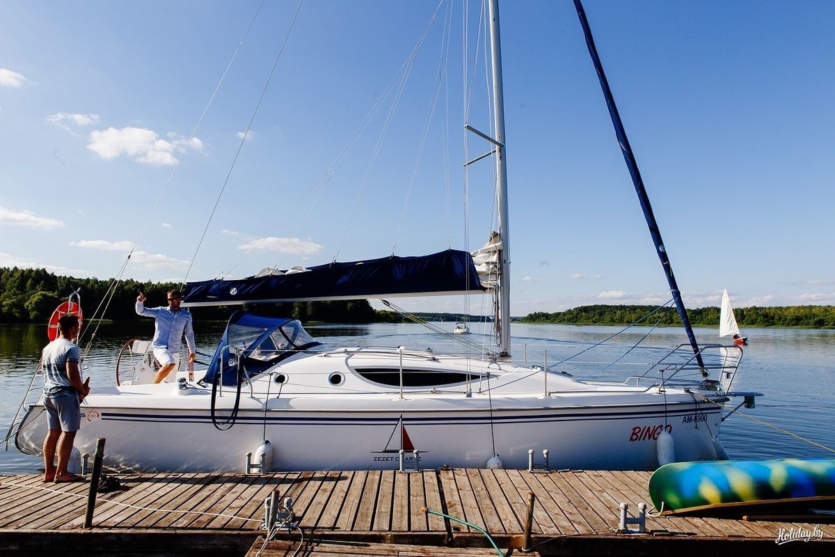 Northman Maxus 33 | Bingo