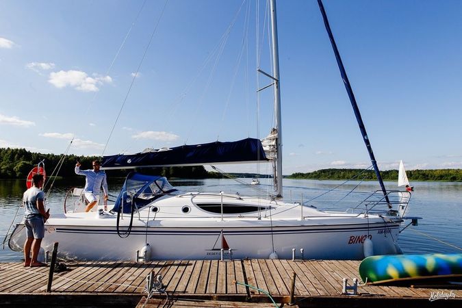 Northman Maxus 33 | Bingo