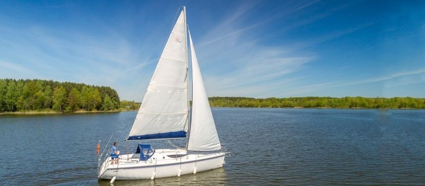 Northman Maxus 33 | Bingo