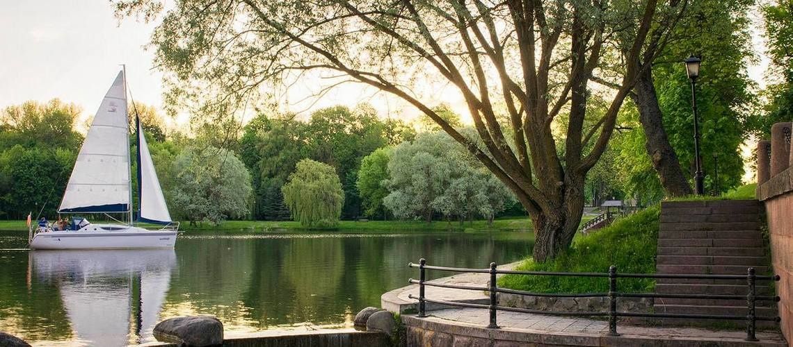 Northman Maxus 33 | Bingo