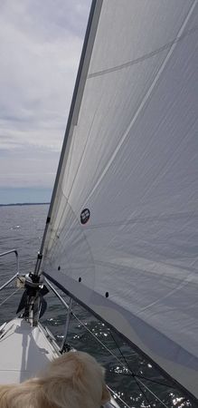 Beneteau First 36.7 | Lota 4