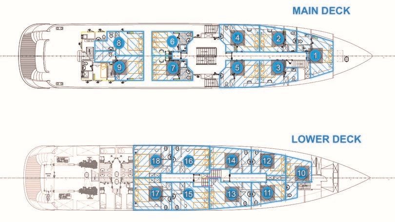 Custom Built 157 | Yolo