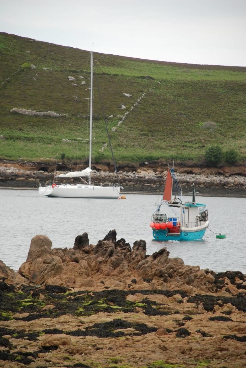 Hanse Varianta 44 | Largo