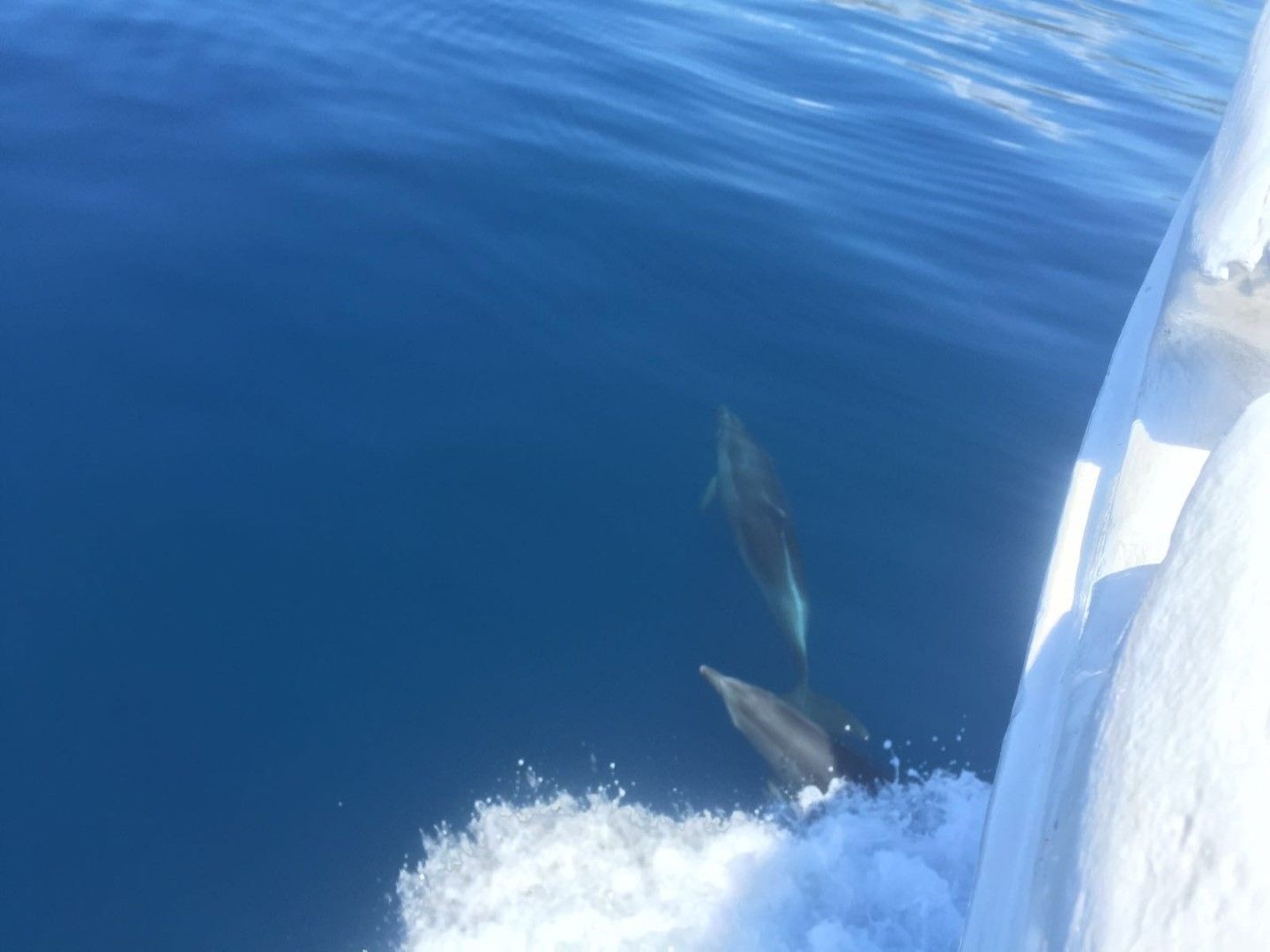 Motor Sailer 29 | Plomin