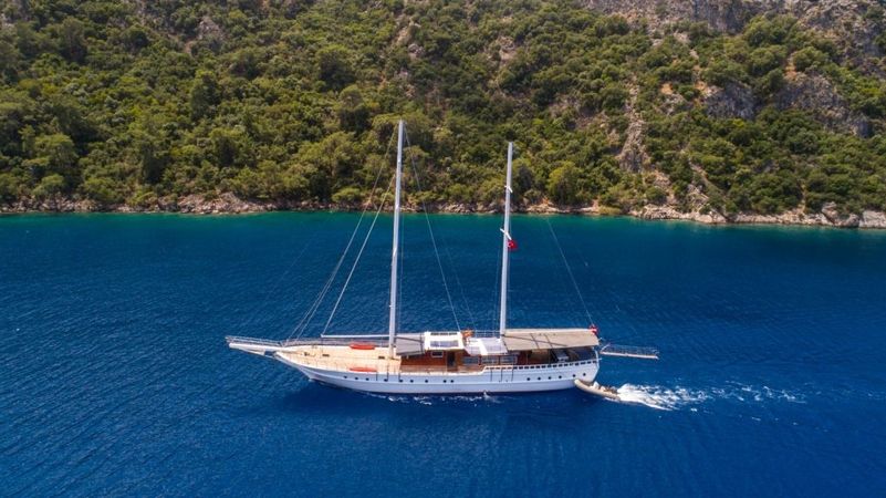 Gulet 118 | Albatros D