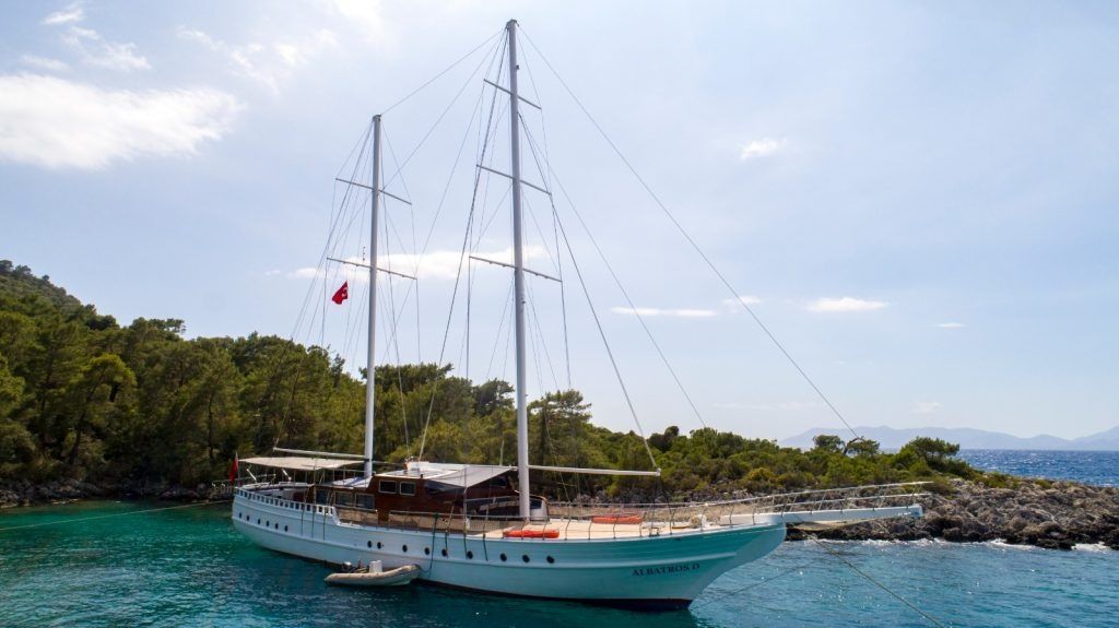 Gulet 118 | Albatros D