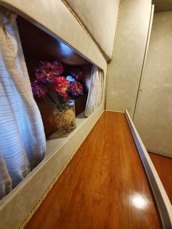 Canados 50 Fly | Rosmary 2