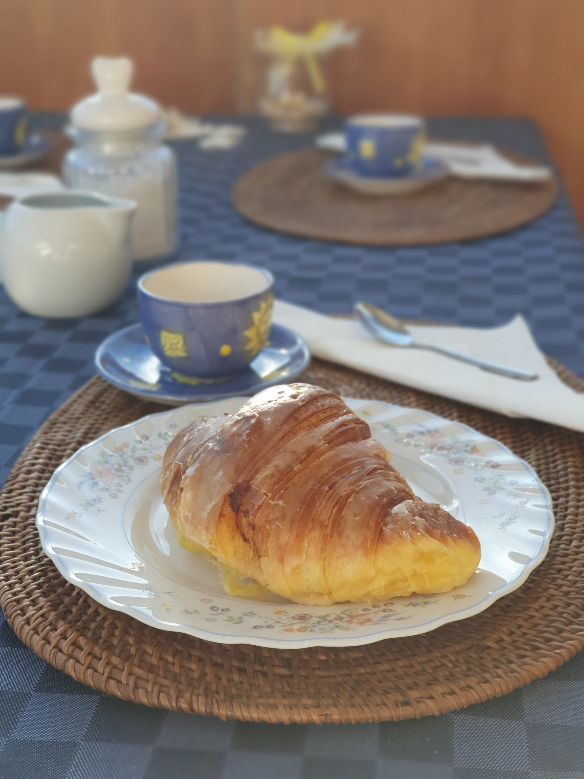 Canados 50 Fly | Rosmary 2