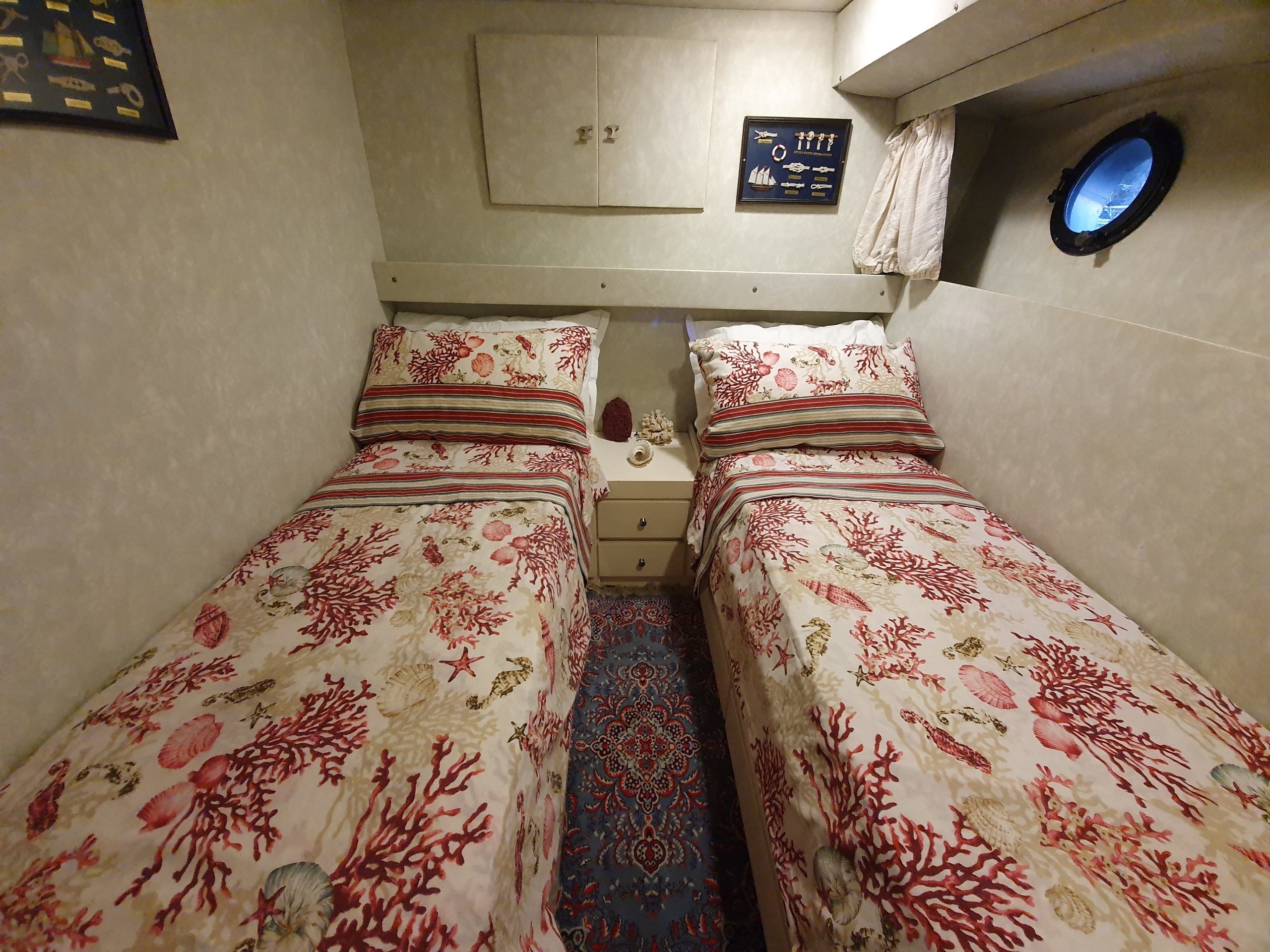 Canados 50 Fly | Rosmary 2