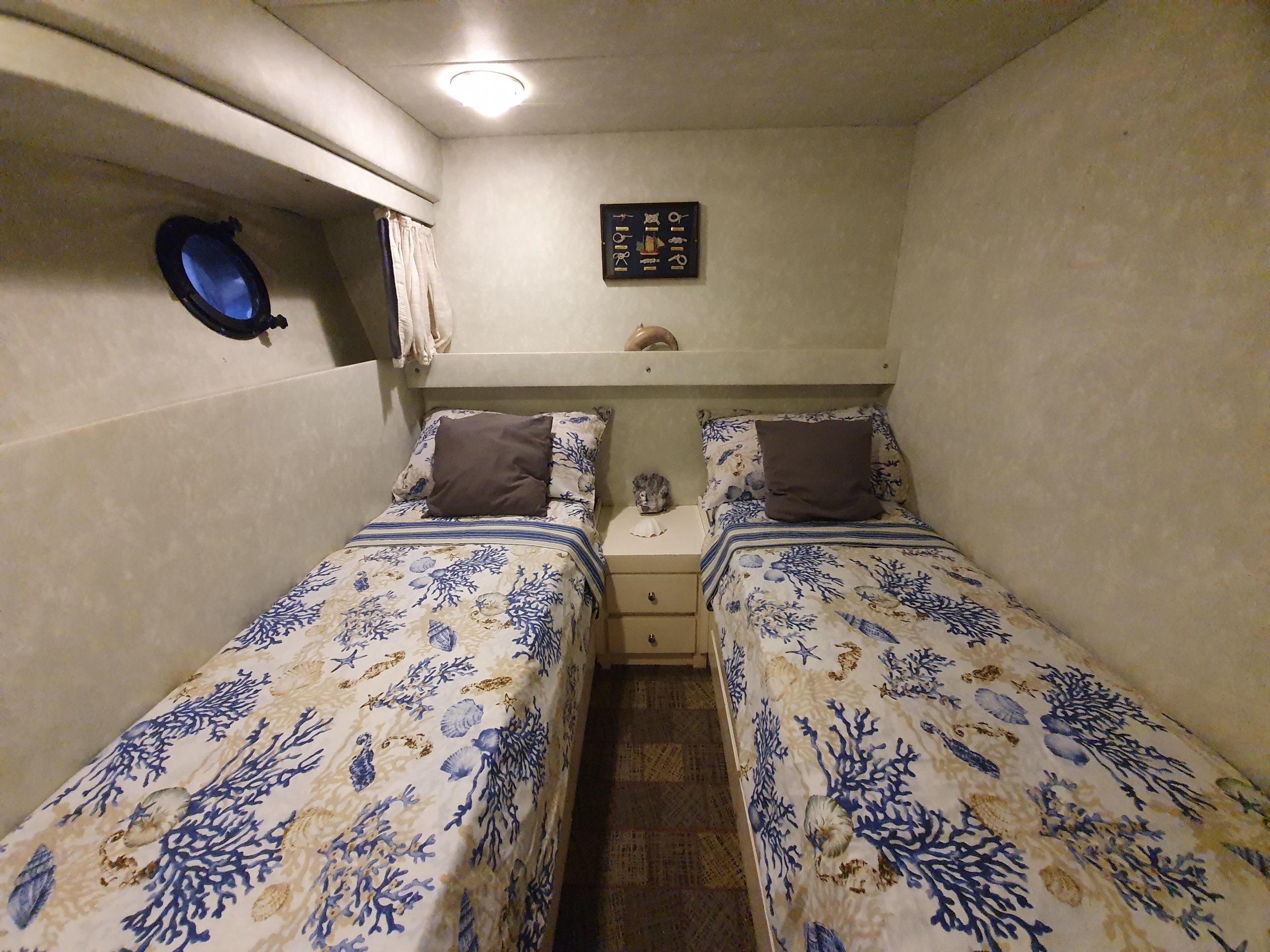 Canados 50 Fly | Rosmary 2