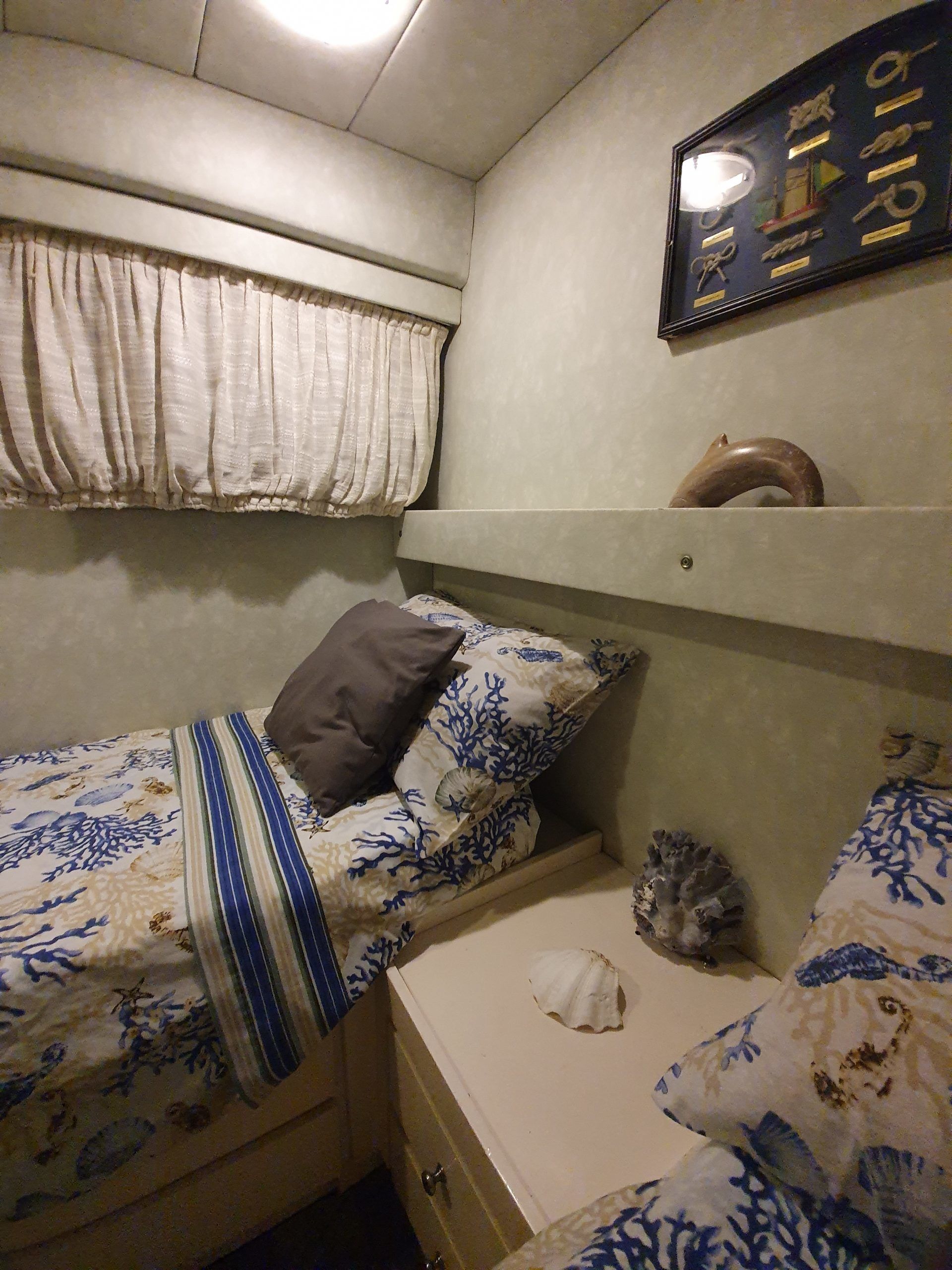 Canados 50 Fly | Rosmary 2