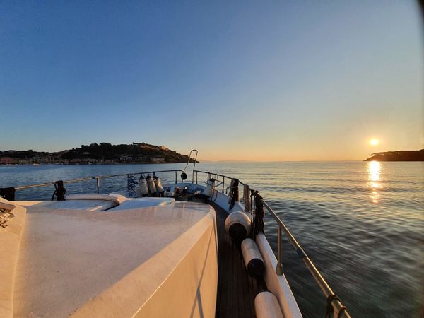 Canados 50 Fly | Rosmary 2