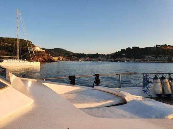 Canados 50 Fly | Rosmary 2