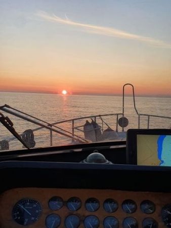 Canados 50 Fly | Rosmary 2