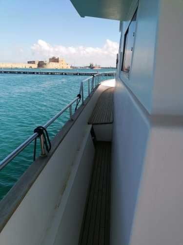 Canados 50 Fly | Rosmary 2