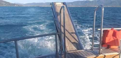 Canados 50 Fly | Rosmary 2