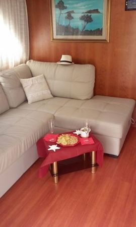 Canados 50 Fly | Rosmary 2