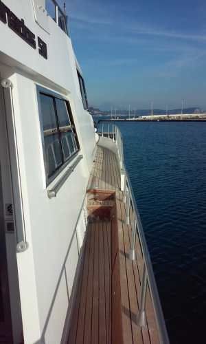 Canados 50 Fly | Rosmary 2