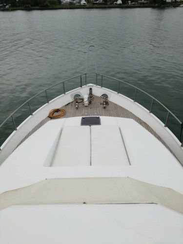 Canados 50 Fly | Rosmary 2