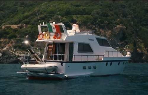 Canados 50 Fly | Rosmary 2