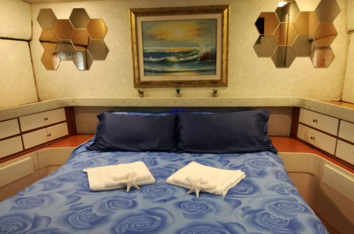 Canados 50 Fly | Rosmary 2