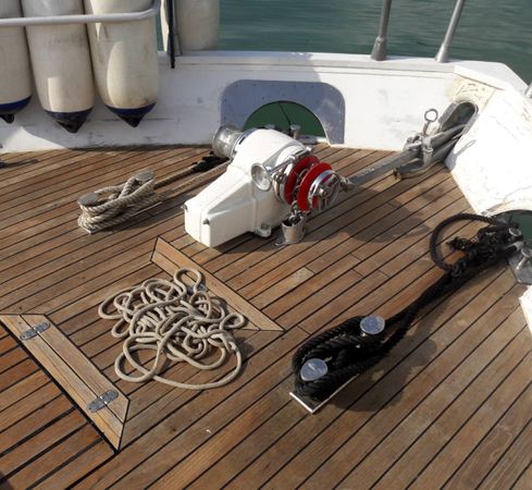 Canados 50 Fly | Rosmary 2