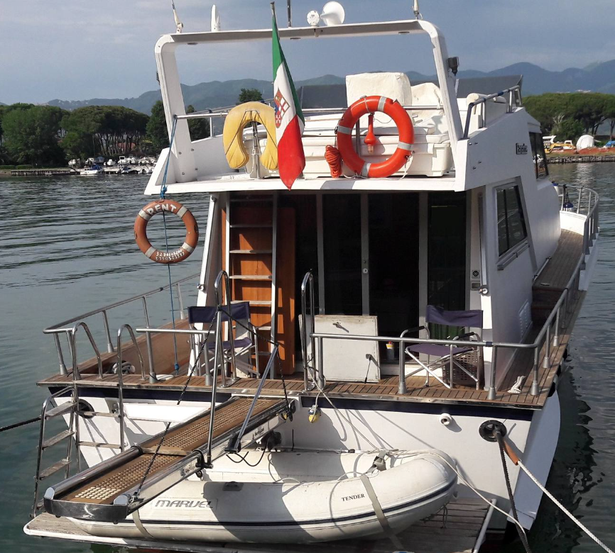 Canados 50 Fly | Rosmary 2