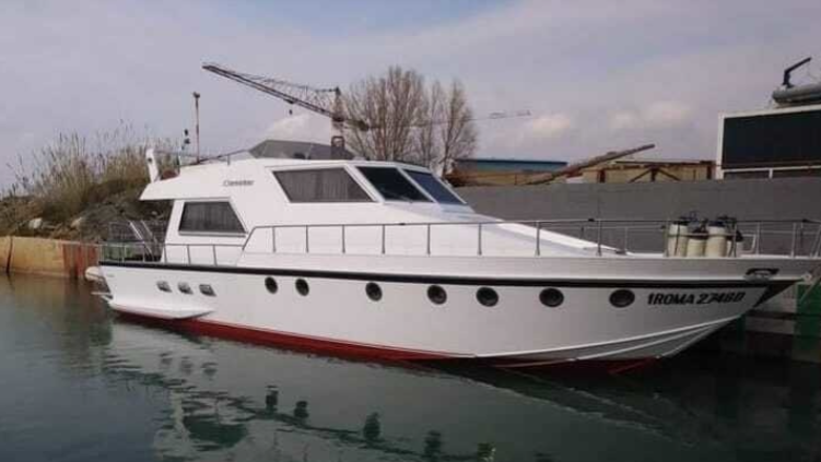 Canados 50 Fly | Rosmary 2