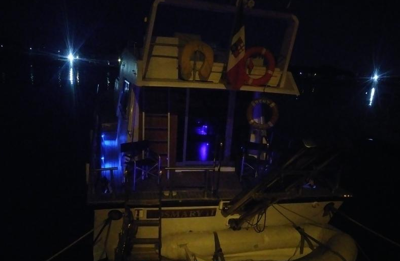 Canados 50 Fly | Rosmary 2