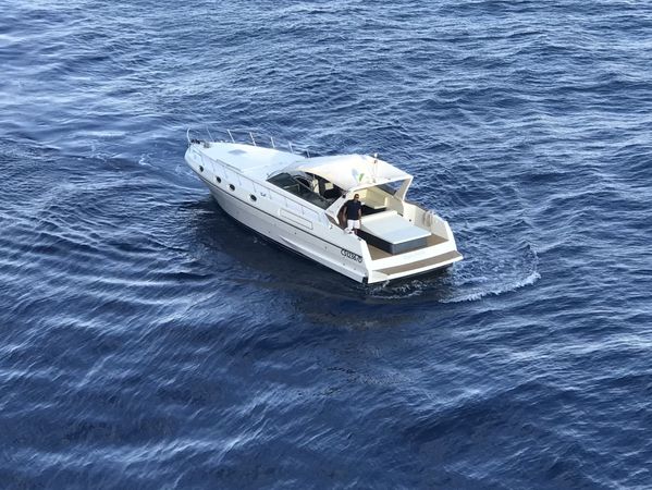 Piantoni 46 | Born Free