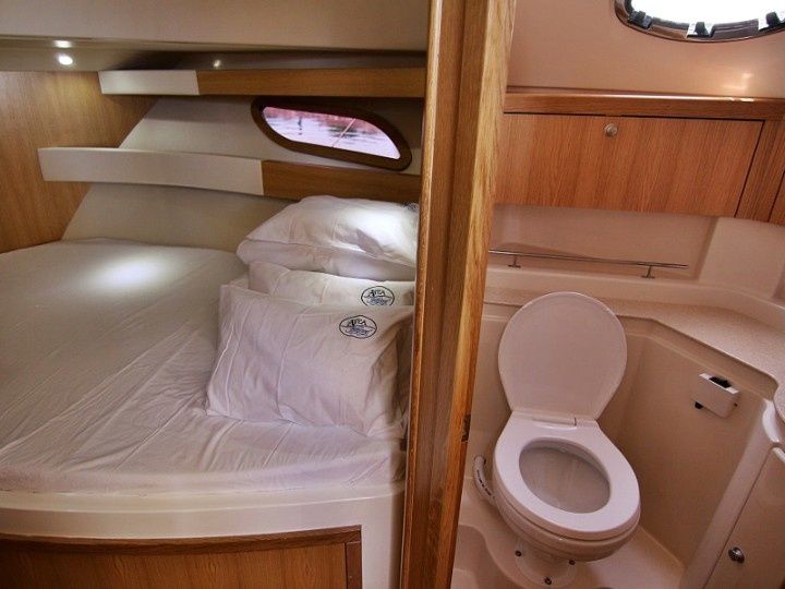 SAS Vektor Adriana 36 | Iris