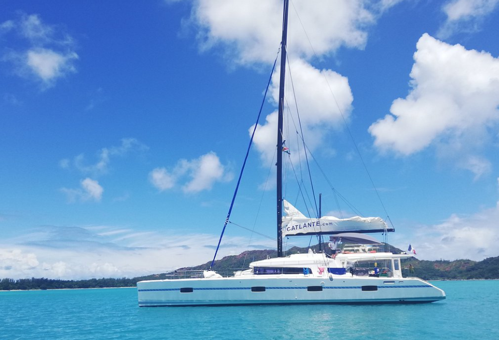 Catlante 720 | Eye Candy