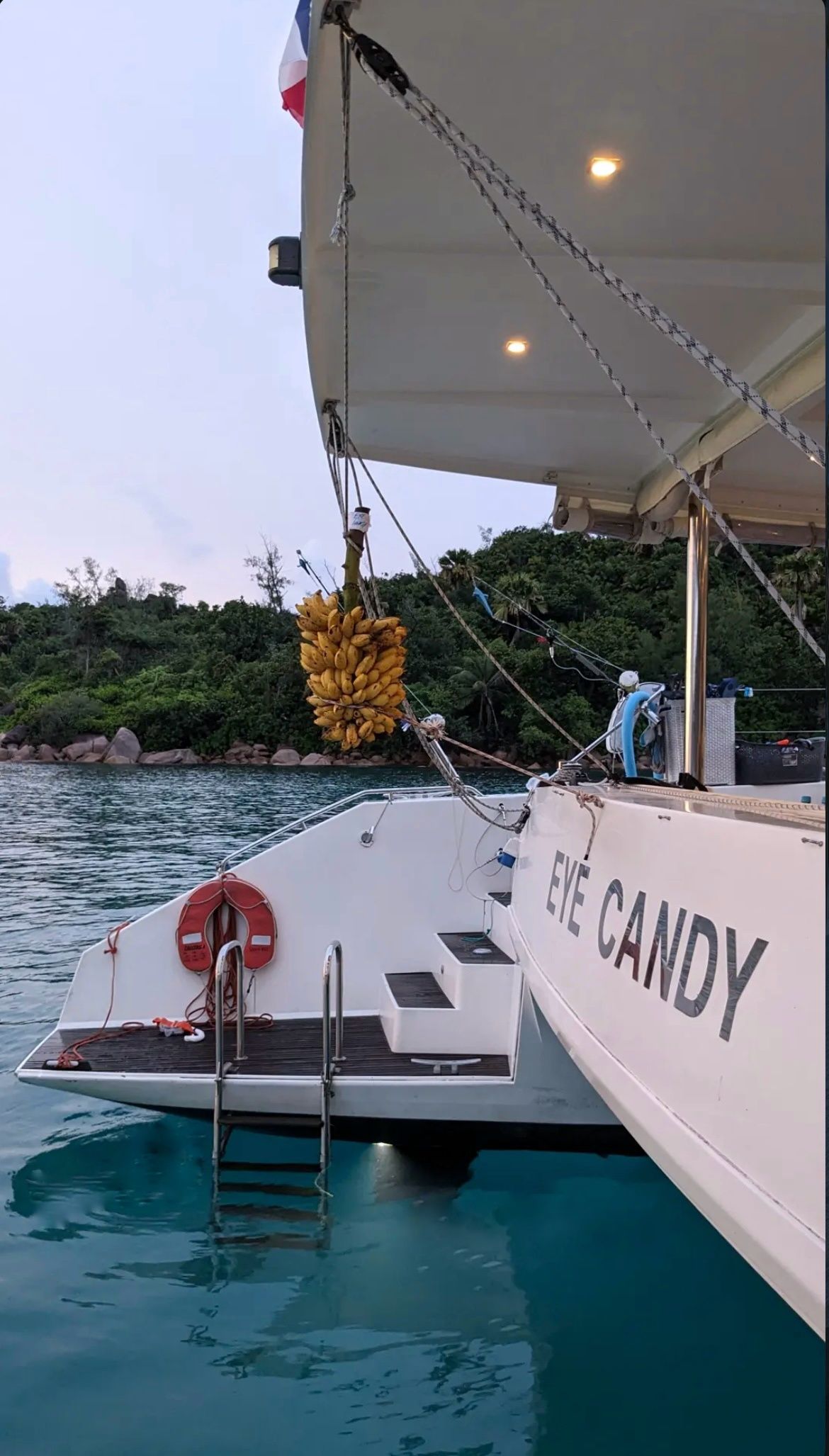 Catlante 720 | Eye Candy