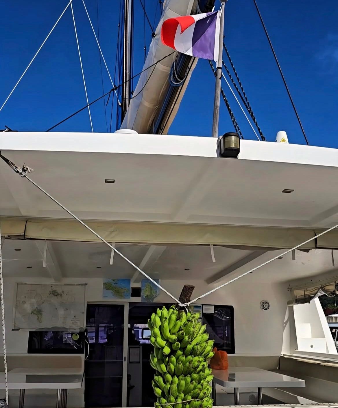 Catlante 720 | Eye Candy